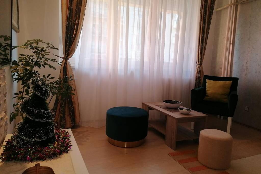 Oasis Felix Apartment Belgrad Exteriör bild