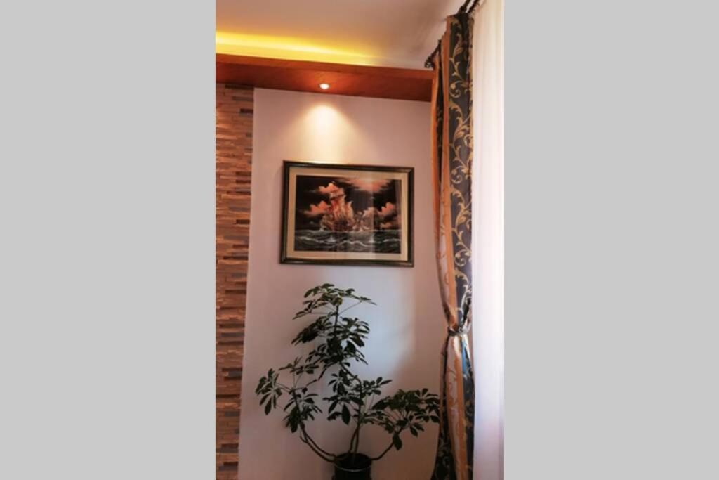 Oasis Felix Apartment Belgrad Exteriör bild