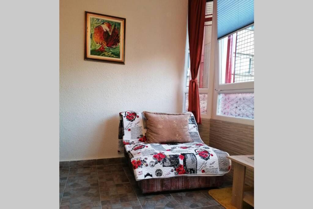 Oasis Felix Apartment Belgrad Exteriör bild