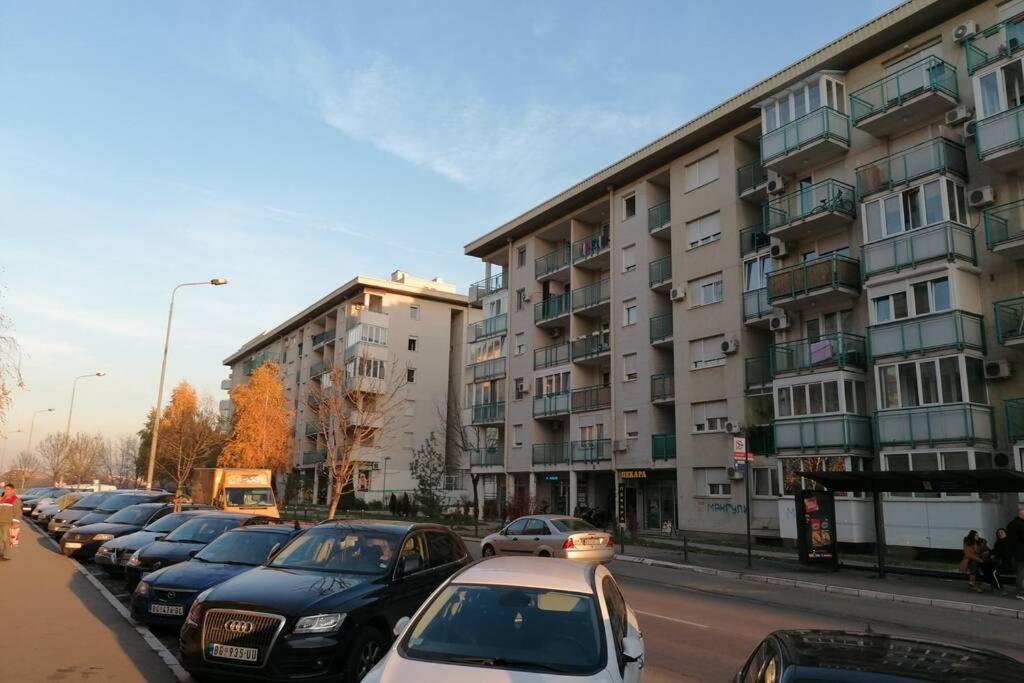 Oasis Felix Apartment Belgrad Exteriör bild