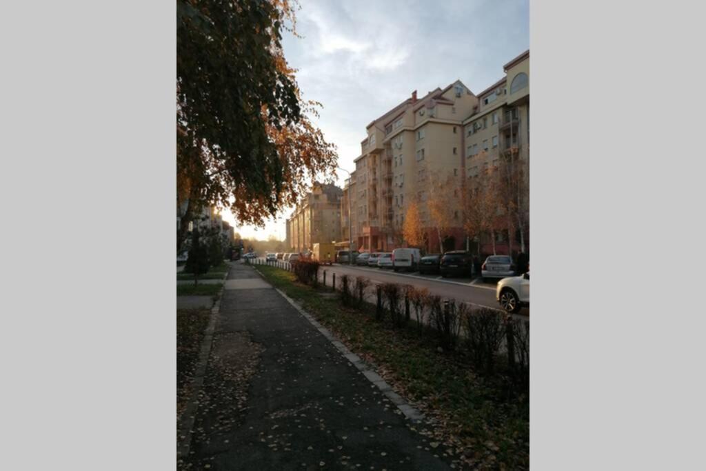 Oasis Felix Apartment Belgrad Exteriör bild